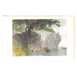 William Daniell : Banks of the Ganges (Coloured)