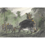 William Daniell : The Tiger Hunt