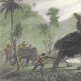William Daniell : The Tiger Hunt