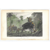 William Daniell : The Tiger Hunt