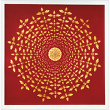 Olivia Fraser: Scent of a Lotus