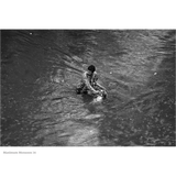 Sudharak Olwe: Maximum Monsoon 1,3-15