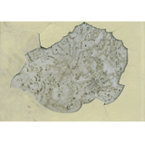 Prajakta Palav: Untitled