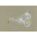 Prajakta Palav: Untitled