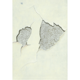 Prajakta Palav: Untitled