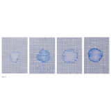 Teja Gavankar: Patterns of Intercity I, II, III