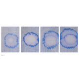 Teja Gavankar: Patterns of Intercity I, II, III