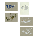 Prajakta Palav: Untitled