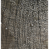 Sarita Chouhan: Infinite 2