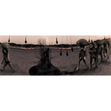 Jayant Gupta: Migration