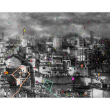 Jaidev Tripathy: Patang (Gujarat Kite Festival)