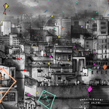 Jaidev Tripathy: Patang (Gujarat Kite Festival)