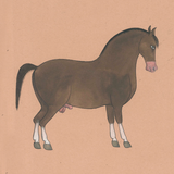 Equine Beauty 3