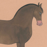 Equine Beauty 3