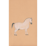 Equine Beauty 4