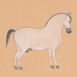 Equine Beauty 4
