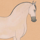 Equine Beauty 4