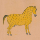 Equine Beauty 5