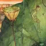 Pappu Bardhan : Lotus Landscape 13-14: Kilol/Play