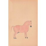 Equine Beauty 1