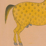 Equine Beauty 5