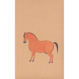 Equine Beauty 6
