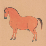 Equine Beauty 6