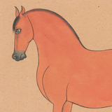 Equine Beauty 6