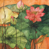 Pappu Bardhan : Lotus Landscape 15-16: Union