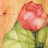 Pappu Bardhan : Lotus Landscape 15-16: Union
