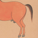 Equine Beauty 6