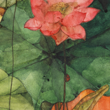 Pappu Bardhan : Lotus Landscape 15-16: Union