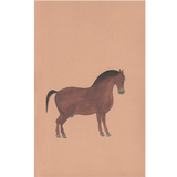 Equine Beauty 7