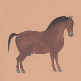 Equine Beauty 7
