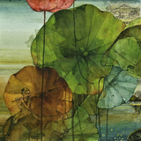 Pappu Bardhan : Lotus Landscape 17-18: Bangalore