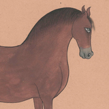 Equine Beauty 7