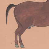 Equine Beauty 7