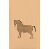 Equine Beauty 8