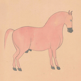 Equine Beauty 1