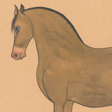 Equine Beauty 8