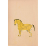 Equine Beauty 9