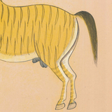 Equine Beauty 9