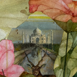 Pappu Bardhan : Lotus Landscape 21: Agra Architecture