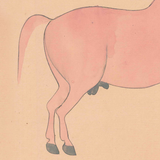 Equine Beauty 1