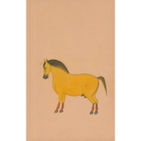 Equine Beauty 2