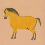 Equine Beauty 2