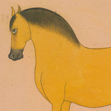 Equine Beauty 2