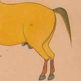 Equine Beauty 2