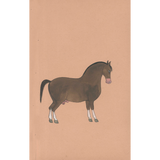 Equine Beauty 3
