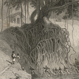William Daniell : Banks of the Ganges